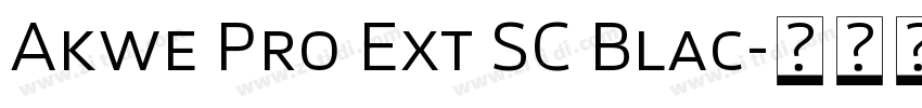 Akwe Pro Ext SC Blac字体转换
